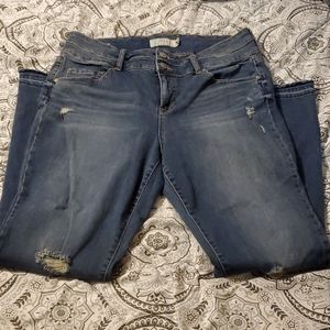 Torrid plus size jeans size 16